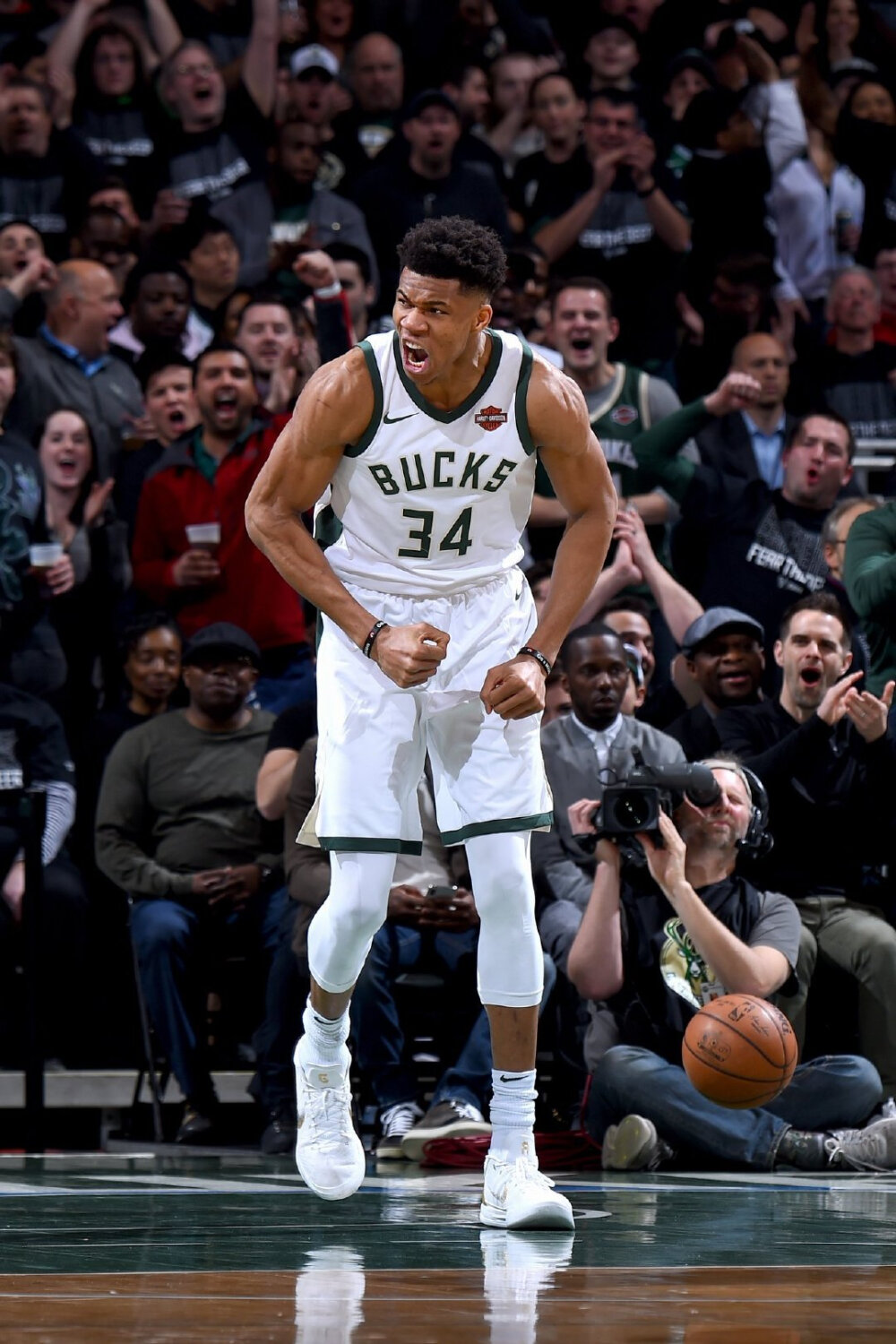 的冷静分配 的冷静分配